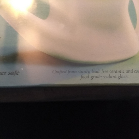 Ancient Secrets Nasal Cleansing Pot Ceramic Neti Pot NWT Dishwasher Safe - Picture 6 of 6